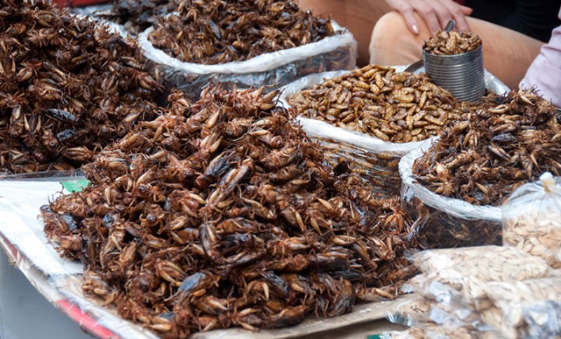 غذاهای خیابانی تایلند