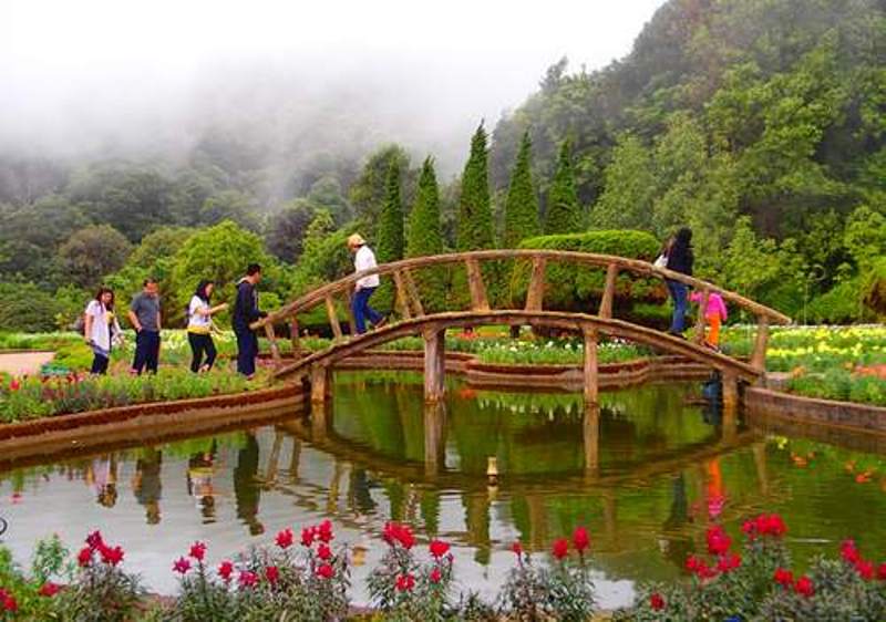 X پارک ملی سری ناکارین تایلند