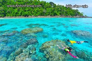 جزیره مرجان پاتایا