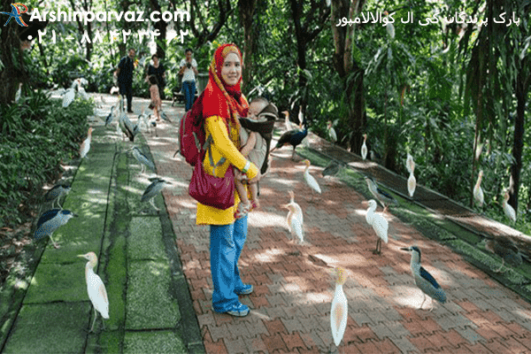 پارک-پرندگان-کی-ال-کوالالامپور-مالزی