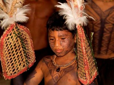 مراسم دستکش مورچه گلوله در آمازون