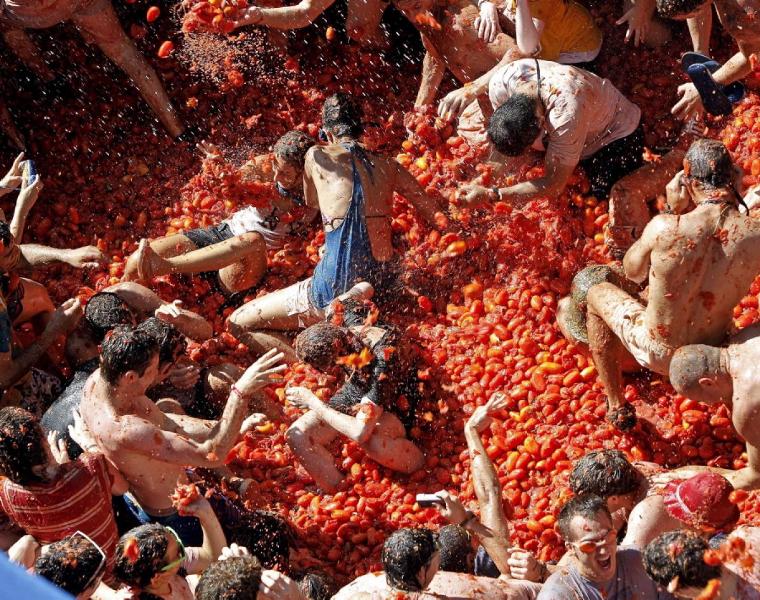 جنگ گوجه فرنگی
