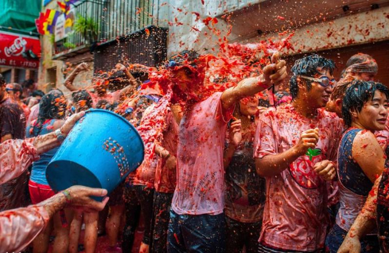 جنگ گوجه فرنگی