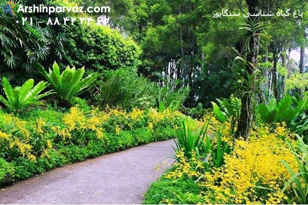 باغ گیاه شناسی سنگاپور