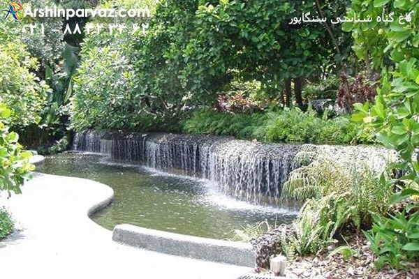 باغ گیاه شناسی سنگاپور