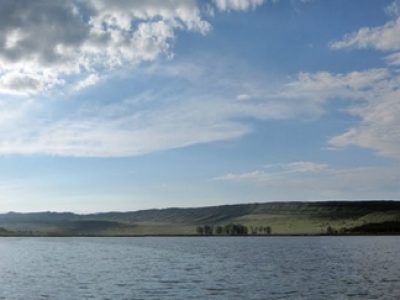 دریاچه لیسی