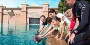 محل های نگهداری دلفین دبی
