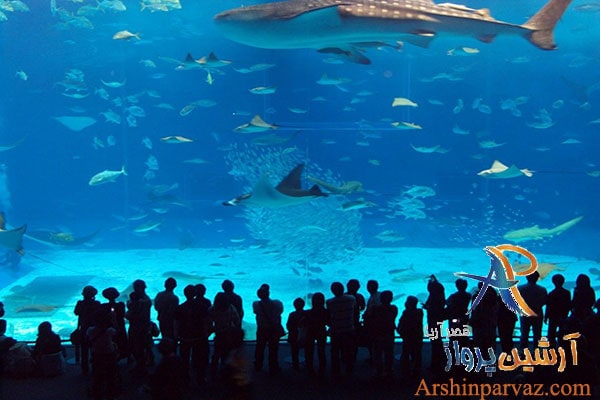 آکواریوم فروم استانبول