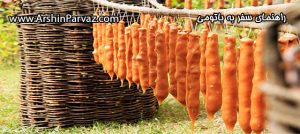 راهنمای سفر به باتومی