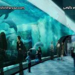 آکواریوم باتومی