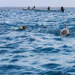 جزیره هنگام