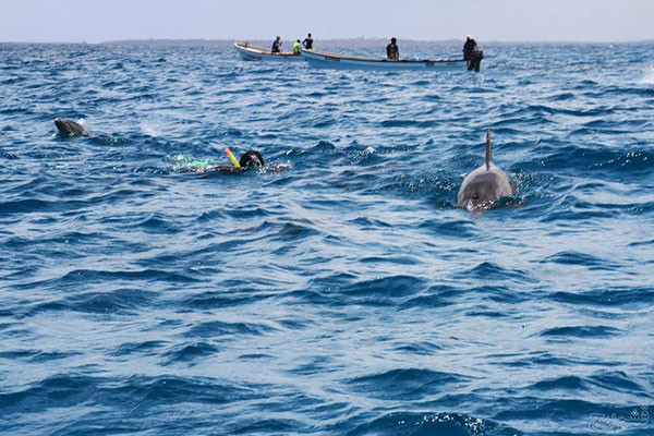 جزیره هنگام