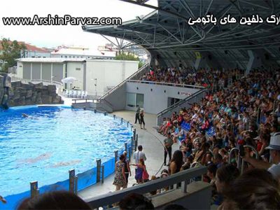 پارک دلفین های باتومی گرجستان