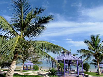 پارک زیتون قشم