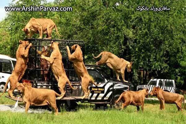 تفریحات تایلند