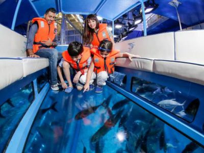 قایق کف شیشه ای در کیش