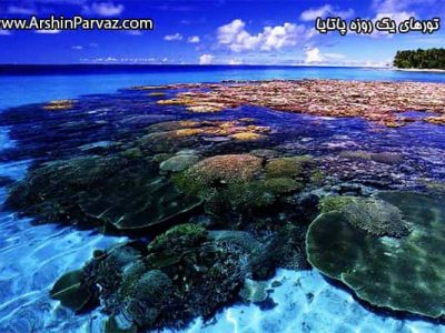 تورهای یک روزه پاتایا