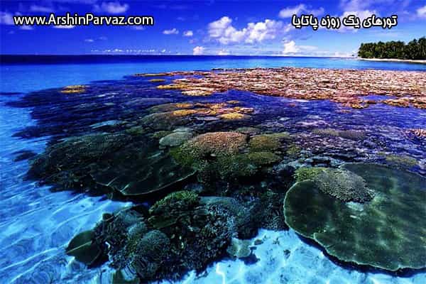 تورهای یک روزه پاتایا