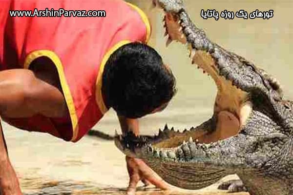 تورهای یک روزه در پاتایا