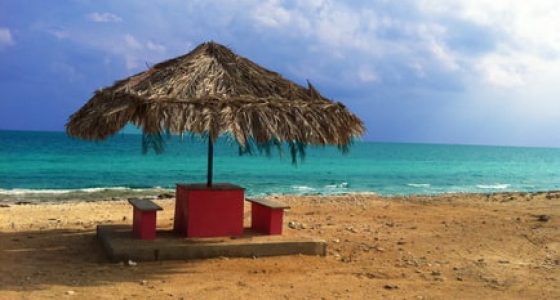 جزیره ی زیبای کیش