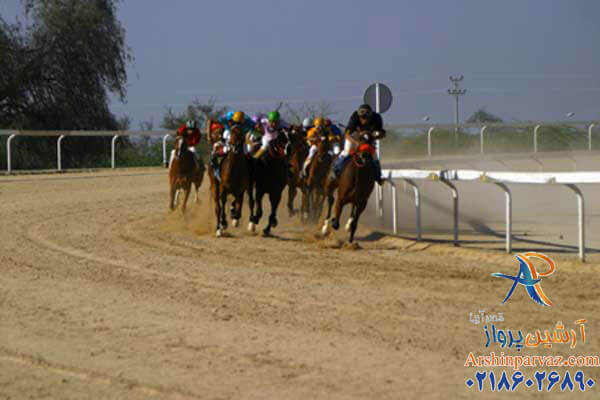 مجموعه سوارکاری المپیک کیش