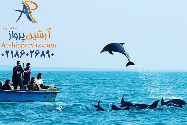 تماشای دلفین ها درجزایر ناز 