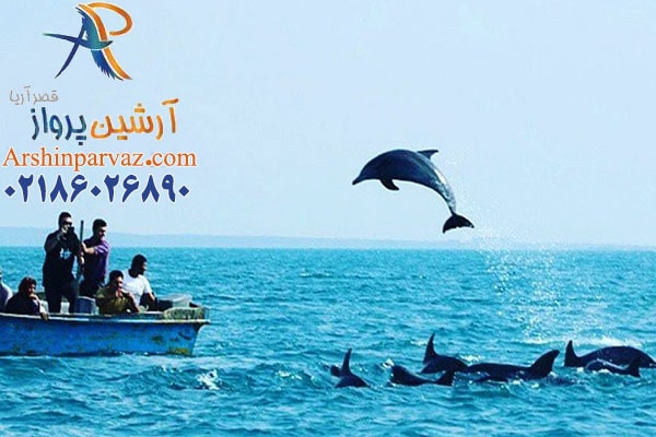 تماشای دلفین ها درجزایر ناز