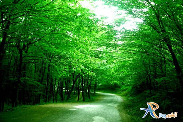 بهترین زمان سفر به استانبول