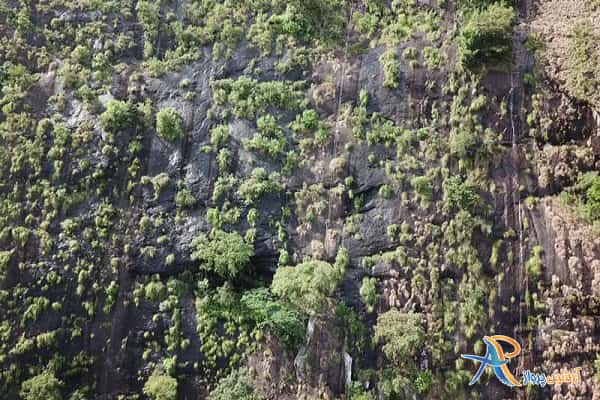 کوهستان لیکو