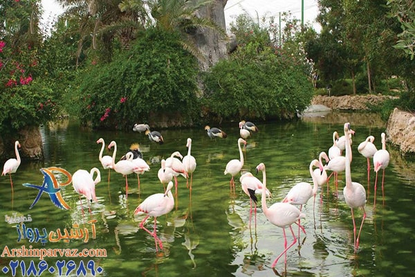 عکس باغ پرندگان در مشهد