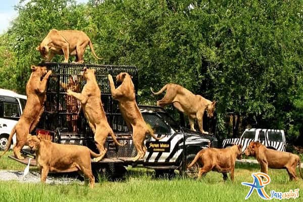 باغ وحش تایلند