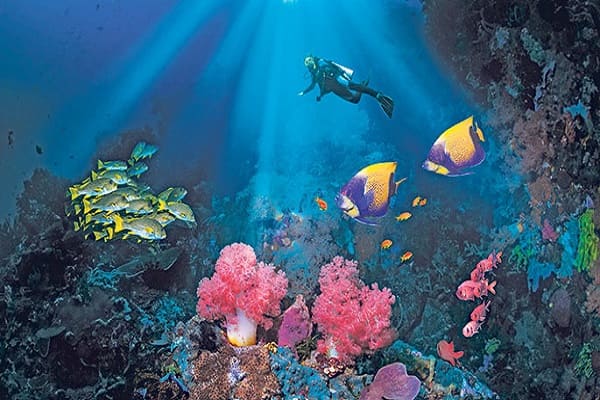 بهترین مناطق تایلند برای غواصی