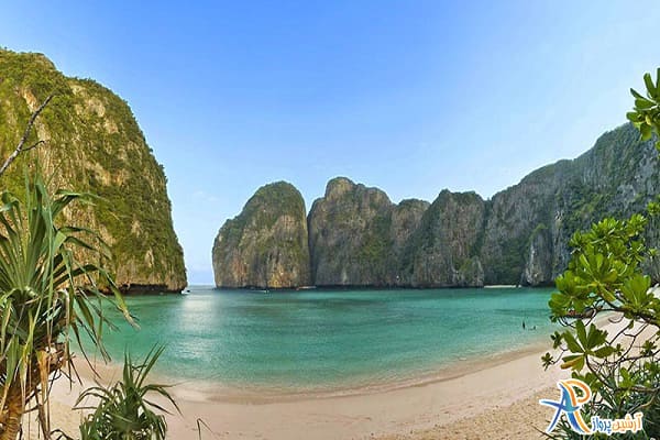 جزیره کو تاروت