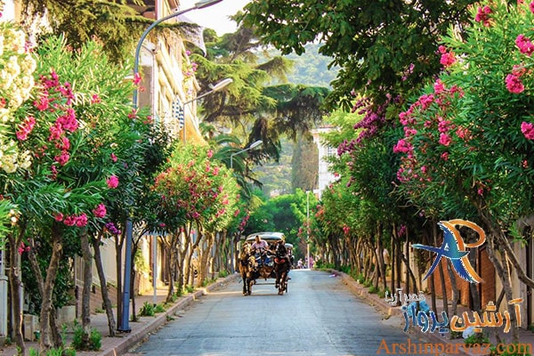 درشکه سواری در جزایر استانبول