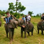 دهکده فیل های تایلند