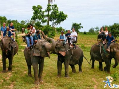 دهکده فیل های تایلند