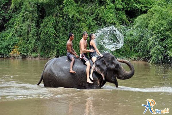 دهکده فیل های پاتایا