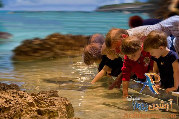 مجتمع تفریحی میکا مال