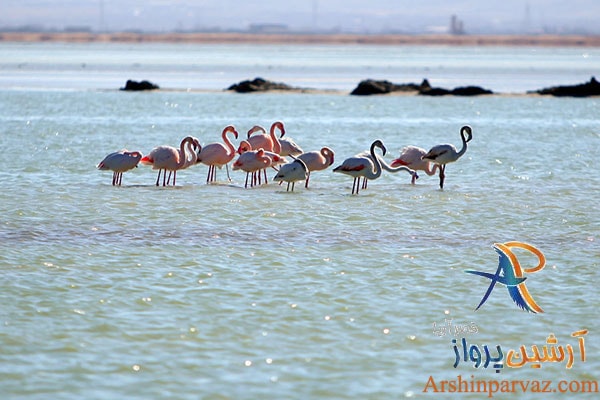 تالاب کردخورد