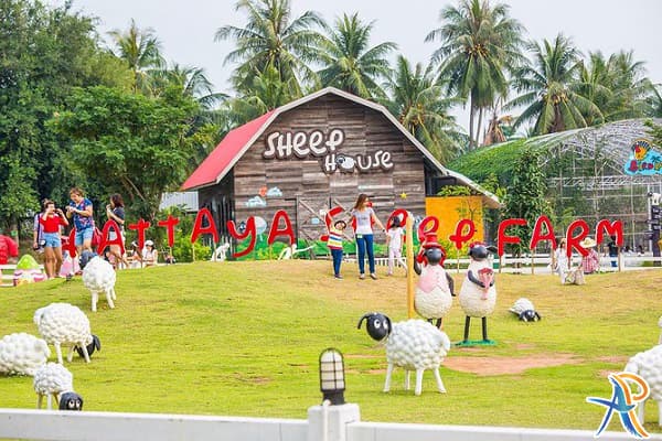 مزرعه پرورش گوسفند