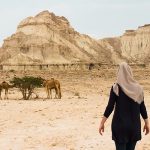 دیدن شترها در قشم