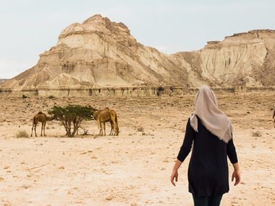 دیدن شترها در قشم