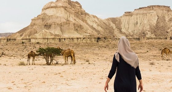 دیدن شترها در قشم