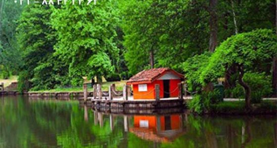 دیدنی-های-جنگل-بلگراد-استانبول