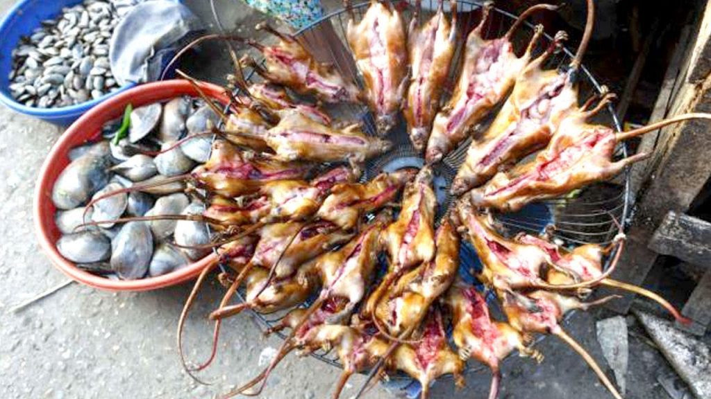 غذاهای چندش آور دنیا7