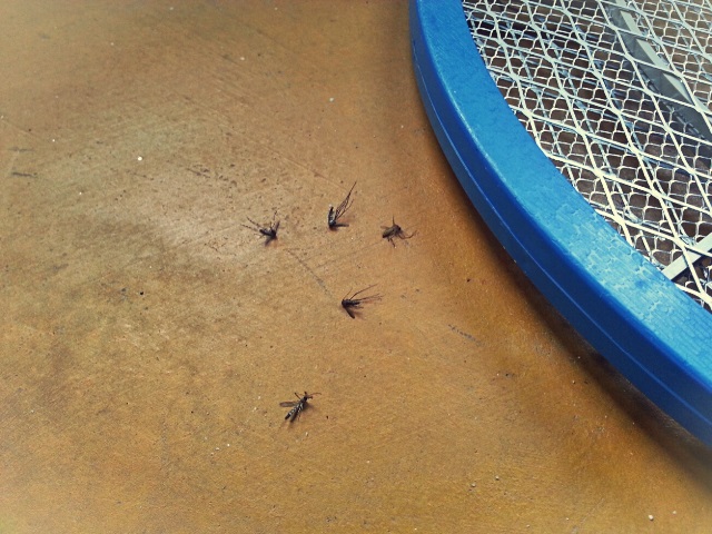 نکات سفر تایلند 5